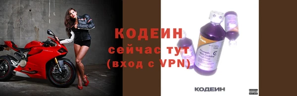 гашик Елизово