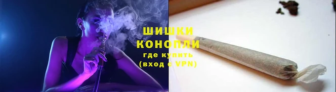 ПСИЛОЦИБИНОВЫЕ ГРИБЫ Елабуга