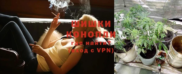 ПСИЛОЦИБИНОВЫЕ ГРИБЫ Елабуга