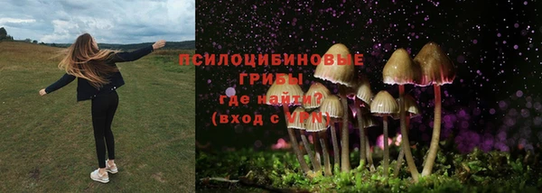 MDMA Premium VHQ Ельня