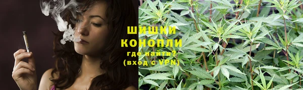гашик Елизово