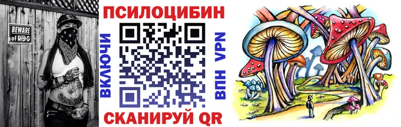Галлюциногенные грибы GOLDEN TEACHER  Купить закладки  Малгобек 