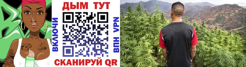 Купить где  Малгобек  Бошки Шишки конопля 